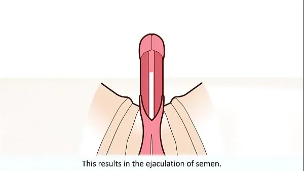 XXX The male orgasm explained mijn video's